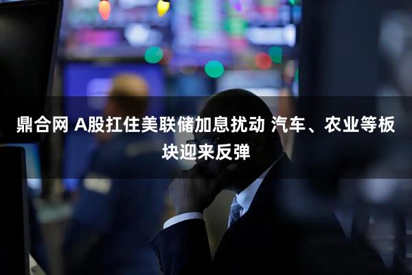 鼎合网 A股扛住美联储加息扰动 汽车、农业等板块迎来反弹