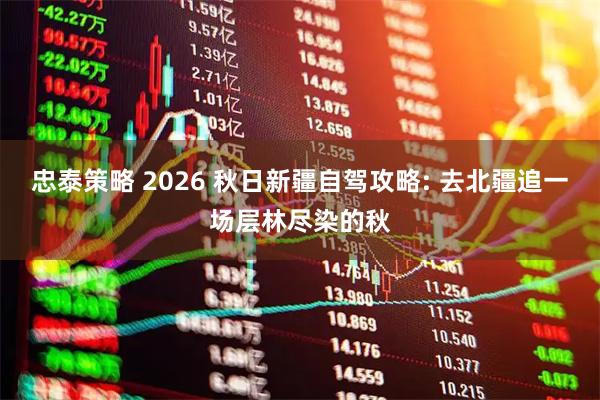 忠泰策略 2026 秋日新疆自驾攻略: 去北疆追一场层林尽染的秋