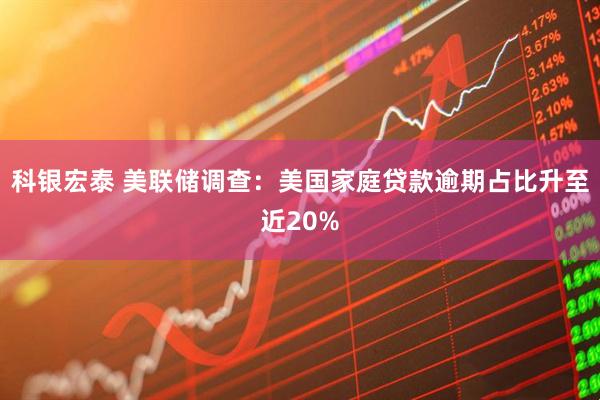 科银宏泰 美联储调查:美国家庭贷款逾期占比升至近20%